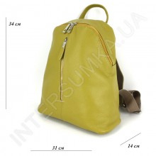 Женский рюкзак из натуральной кожи Borsacomoda 841015